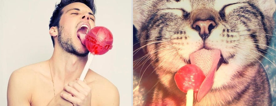 Girls' Favorite Things Brought Together: 25 Diptychs of Hot Guys and Kittens Girls' Favorite Things Brought Together: 25 Diptychs of Hot Guys and Kittens