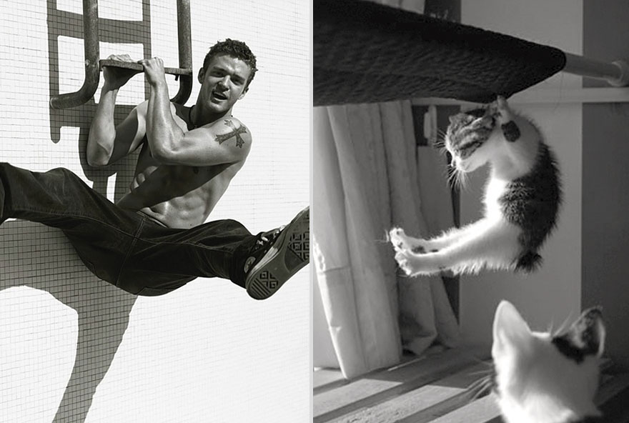 Girls’ Favorite Things Brought Together: Hot Guys and Kittens (PART II) Girls’ Favorite Things Brought Together: Hot Guys and Kittens (PART II)