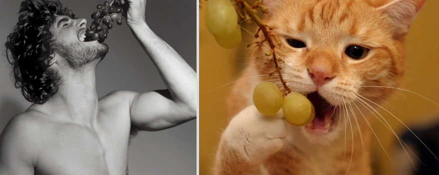 Girls&rsquo; Favorite Things Brought Together: Hot Guys and Kittens (PART II)