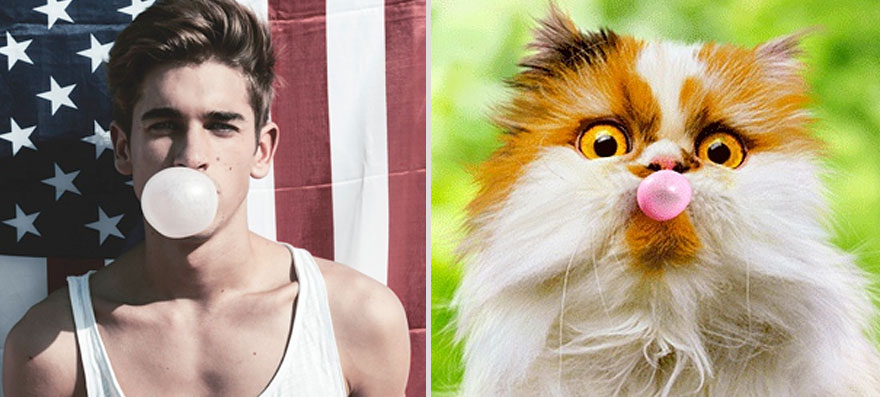 Girls’ Favorite Things Brought Together: Hot Guys and Kittens (PART II) Girls’ Favorite Things Brought Together: Hot Guys and Kittens (PART II)