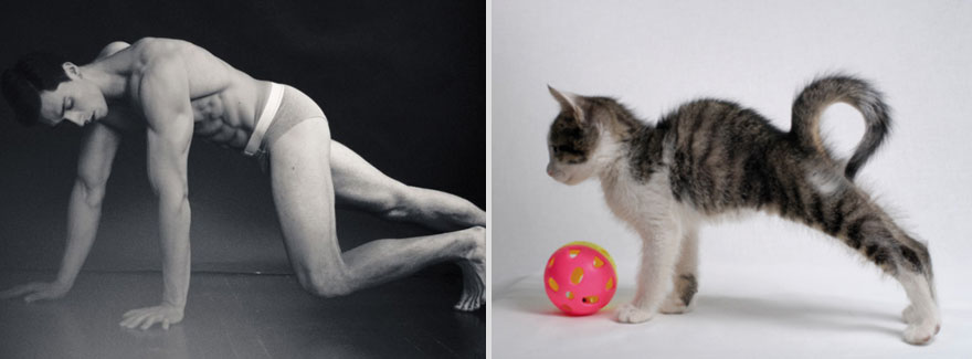 Girls’ Favorite Things Brought Together: Hot Guys and Kittens (PART II) Girls’ Favorite Things Brought Together: Hot Guys and Kittens (PART II)