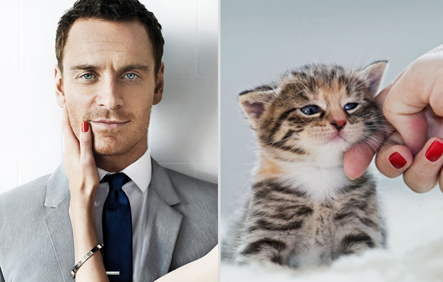 Girls&rsquo; Favorite Things Brought Together: Hot Guys and Kittens (PART II)