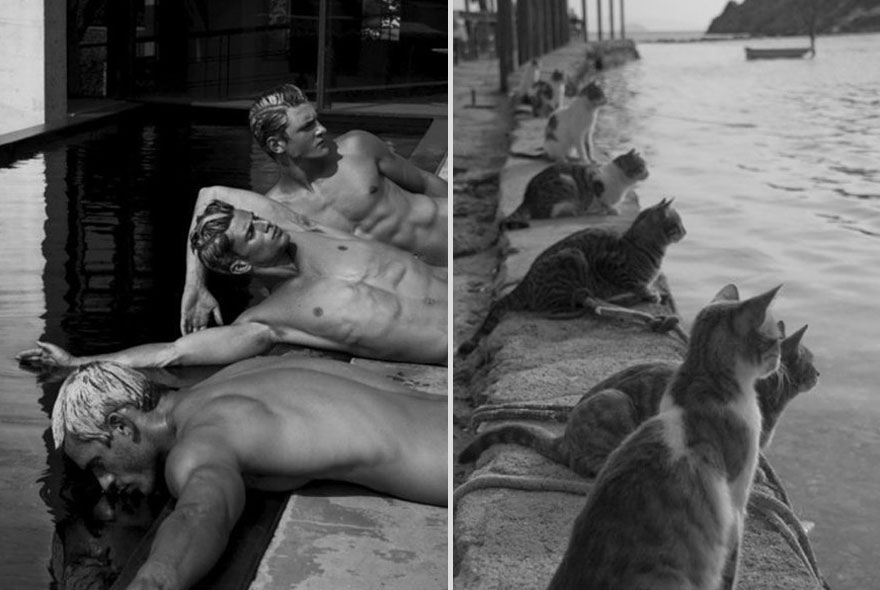Girls&rsquo; Favorite Things Brought Together: Hot Guys and Kittens (PART II)
