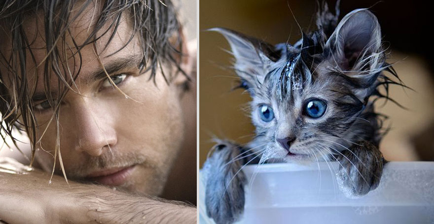 Girls&rsquo; Favorite Things Brought Together: Hot Guys and Kittens (PART II)