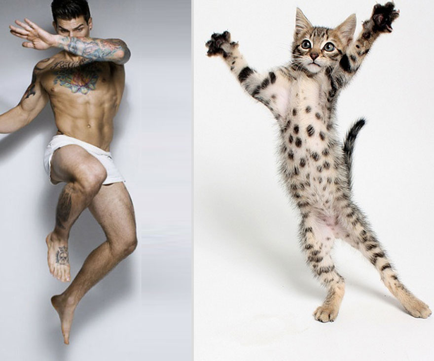 Girls&rsquo; Favorite Things Brought Together: Hot Guys and Kittens (PART II)