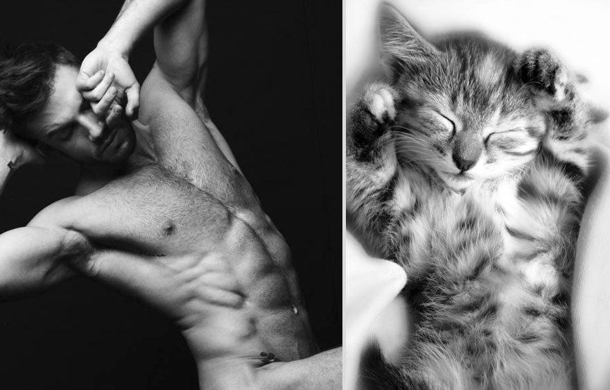 Girls&rsquo; Favorite Things Brought Together: Hot Guys and Kittens (PART II)