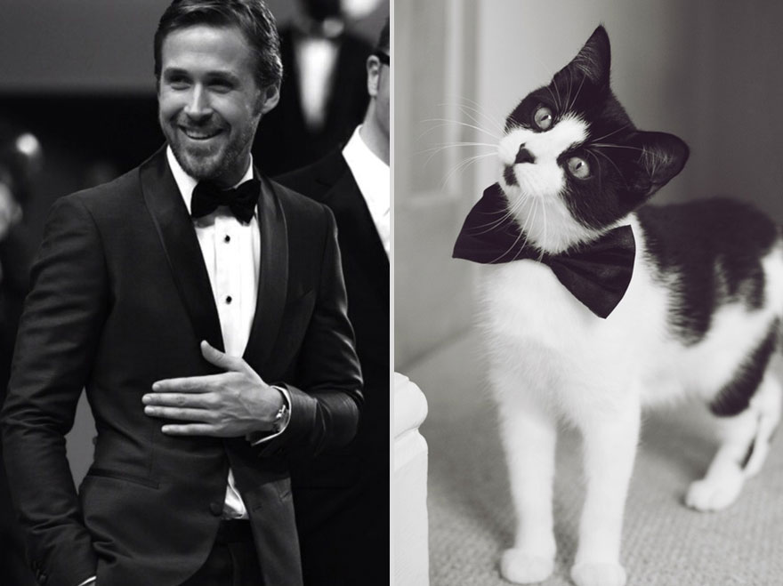 Girls&rsquo; Favorite Things Brought Together: Hot Guys and Kittens (PART II)