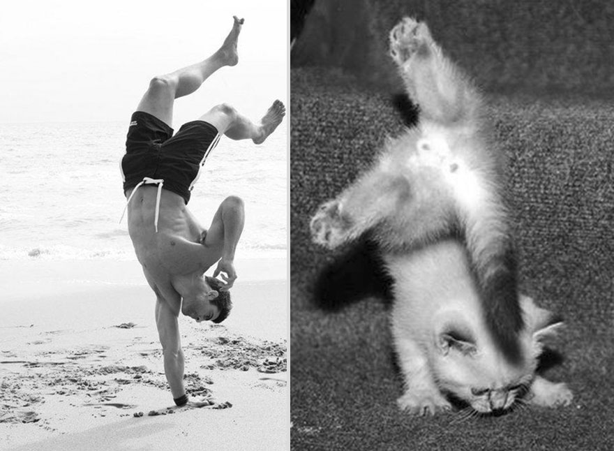 Girls&rsquo; Favorite Things Brought Together: Hot Guys and Kittens (PART II)