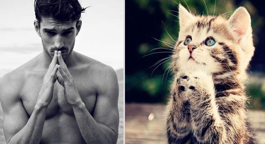 Girls’ Favorite Things Brought Together: Hot Guys and Kittens (PART II) Girls’ Favorite Things Brought Together: Hot Guys and Kittens (PART II)