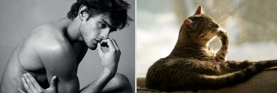 Girls’ Favorite Things Brought Together: Hot Guys and Kittens (PART II) Girls’ Favorite Things Brought Together: Hot Guys and Kittens (PART II)