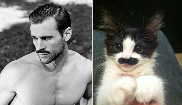 Girls' Favorite Things Brought Together: 25 Diptychs of Hot Guys and Kittens Girls' Favorite Things Brought Together: 25 Diptychs of Hot Guys and Kittens