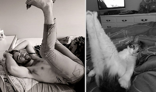 Girls' Favorite Things Brought Together: 25 Diptychs of Hot Guys and Kittens Girls' Favorite Things Brought Together: 25 Diptychs of Hot Guys and Kittens