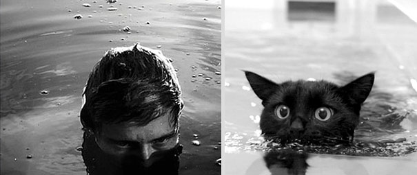 Girls' Favorite Things Brought Together: 25 Diptychs of Hot Guys and Kittens Girls' Favorite Things Brought Together: 25 Diptychs of Hot Guys and Kittens