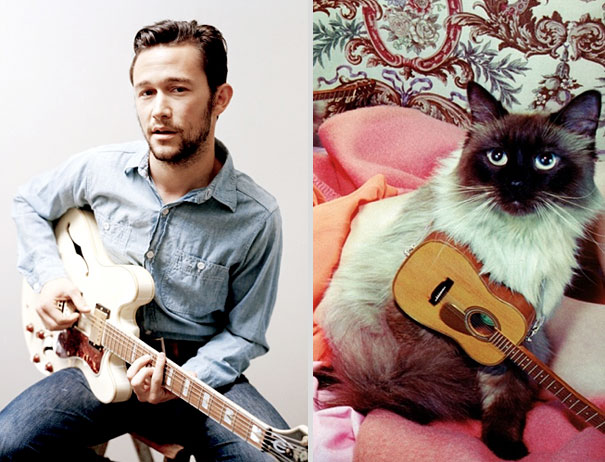 Girls' Favorite Things Brought Together: 25 Diptychs of Hot Guys and Kittens Girls' Favorite Things Brought Together: 25 Diptychs of Hot Guys and Kittens