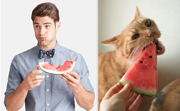 Girls' Favorite Things Brought Together: 25 Diptychs of Hot Guys and Kittens Girls' Favorite Things Brought Together: 25 Diptychs of Hot Guys and Kittens