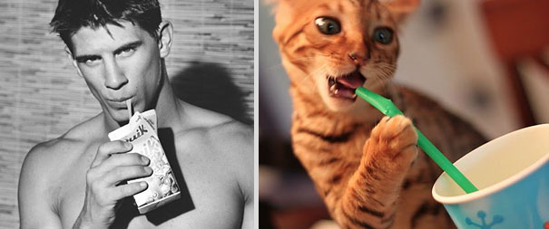 Girls' Favorite Things Brought Together: 25 Diptychs of Hot Guys and Kittens Girls' Favorite Things Brought Together: 25 Diptychs of Hot Guys and Kittens