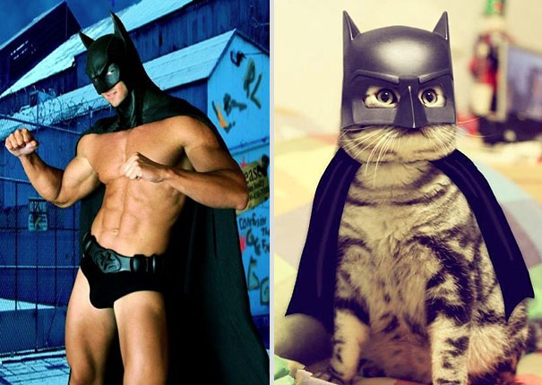 Girls' Favorite Things Brought Together: 25 Diptychs of Hot Guys and Kittens Girls' Favorite Things Brought Together: 25 Diptychs of Hot Guys and Kittens