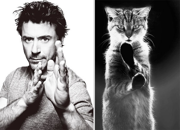 Girls' Favorite Things Brought Together: 25 Diptychs of Hot Guys and Kittens Girls' Favorite Things Brought Together: 25 Diptychs of Hot Guys and Kittens