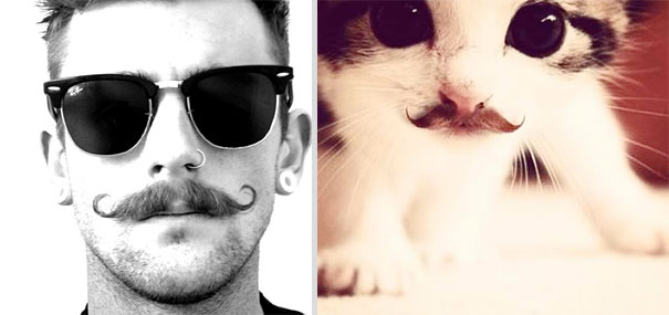 Girls' Favorite Things Brought Together: 25 Diptychs of Hot Guys and Kittens Girls' Favorite Things Brought Together: 25 Diptychs of Hot Guys and Kittens