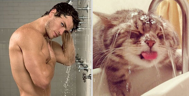 Girls' Favorite Things Brought Together: 25 Diptychs of Hot Guys and Kittens Girls' Favorite Things Brought Together: 25 Diptychs of Hot Guys and Kittens