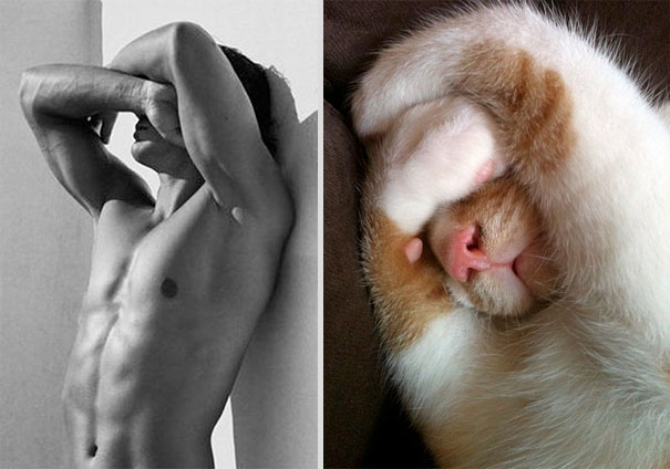 Girls' Favorite Things Brought Together: 25 Diptychs of Hot Guys and Kittens Girls' Favorite Things Brought Together: 25 Diptychs of Hot Guys and Kittens