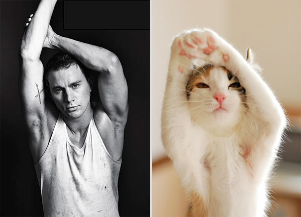 Girls' Favorite Things Brought Together: 25 Diptychs of Hot Guys and Kittens Girls' Favorite Things Brought Together: 25 Diptychs of Hot Guys and Kittens