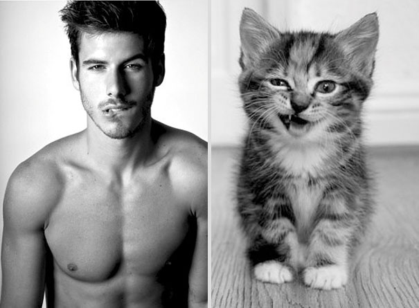 Girls' Favorite Things Brought Together: 25 Diptychs of Hot Guys and Kittens Girls' Favorite Things Brought Together: 25 Diptychs of Hot Guys and Kittens