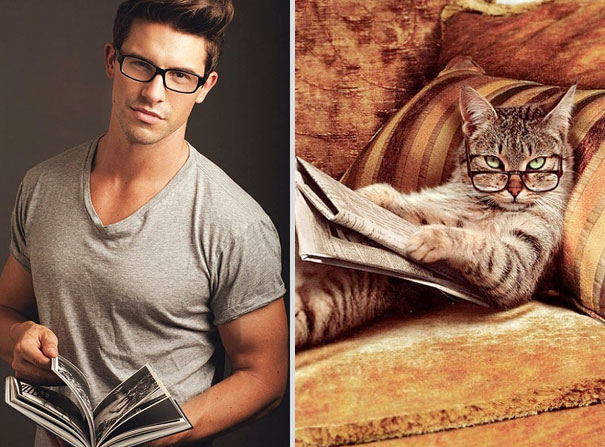 Girls' Favorite Things Brought Together: 25 Diptychs of Hot Guys and Kittens Girls' Favorite Things Brought Together: 25 Diptychs of Hot Guys and Kittens