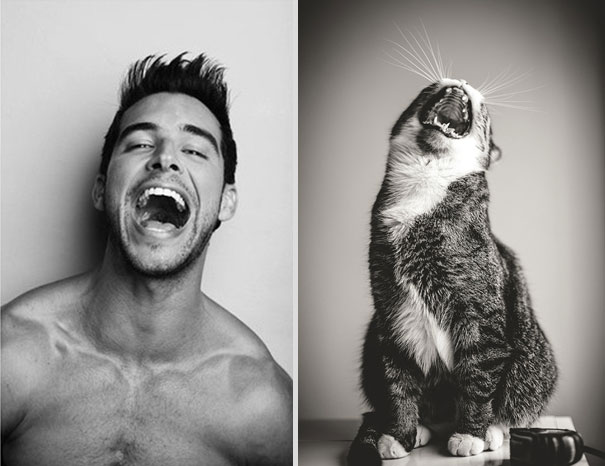 Girls' Favorite Things Brought Together: 25 Diptychs of Hot Guys and Kittens Girls' Favorite Things Brought Together: 25 Diptychs of Hot Guys and Kittens