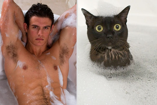 Girls' Favorite Things Brought Together: 25 Diptychs of Hot Guys and Kittens Girls' Favorite Things Brought Together: 25 Diptychs of Hot Guys and Kittens