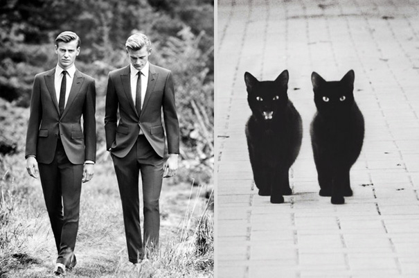 Girls' Favorite Things Brought Together: 25 Diptychs of Hot Guys and Kittens Girls' Favorite Things Brought Together: 25 Diptychs of Hot Guys and Kittens
