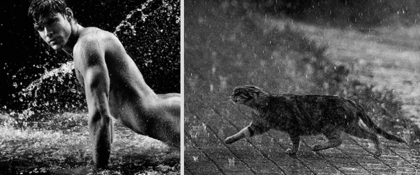 Girls' Favorite Things Brought Together: 25 Diptychs of Hot Guys and Kittens Girls' Favorite Things Brought Together: 25 Diptychs of Hot Guys and Kittens