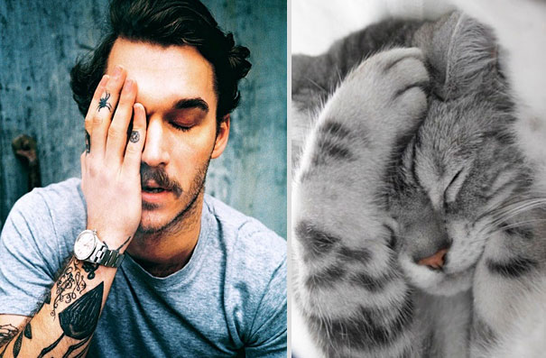 Girls' Favorite Things Brought Together: 25 Diptychs of Hot Guys and Kittens Girls' Favorite Things Brought Together: 25 Diptychs of Hot Guys and Kittens