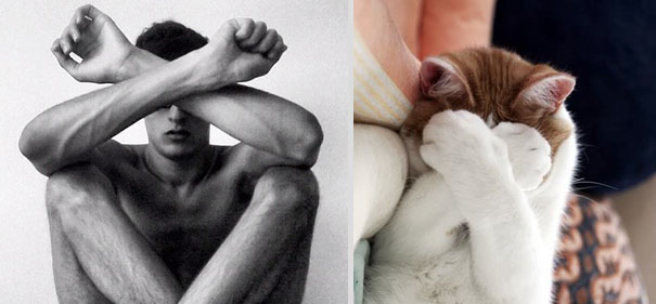 Girls' Favorite Things Brought Together: 25 Diptychs of Hot Guys and Kittens Girls' Favorite Things Brought Together: 25 Diptychs of Hot Guys and Kittens
