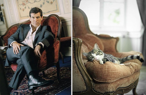 Girls' Favorite Things Brought Together: 25 Diptychs of Hot Guys and Kittens Girls' Favorite Things Brought Together: 25 Diptychs of Hot Guys and Kittens