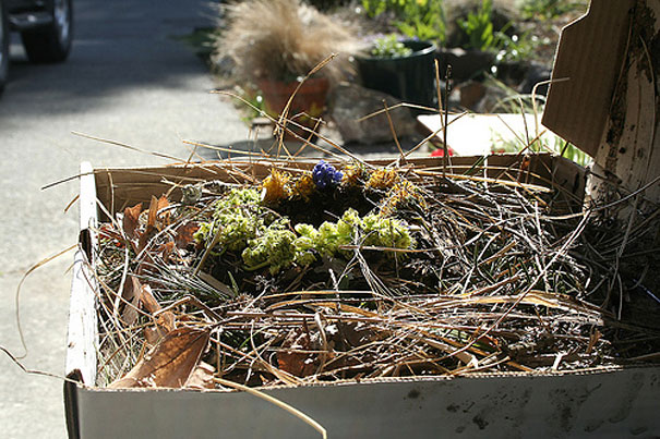 20 Cool Things You Can Make With A Pizza Box 20 Cool Things You Can Make With A Pizza Box