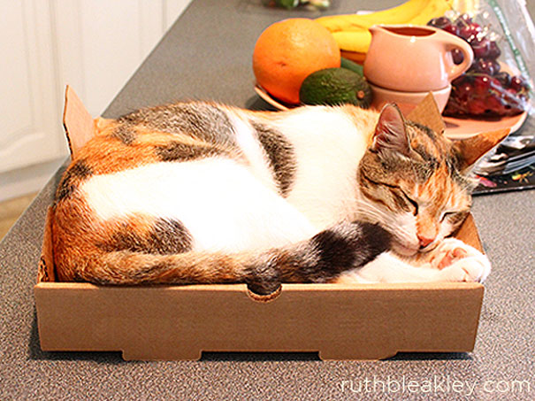 20 Cool Things You Can Make With A Pizza Box