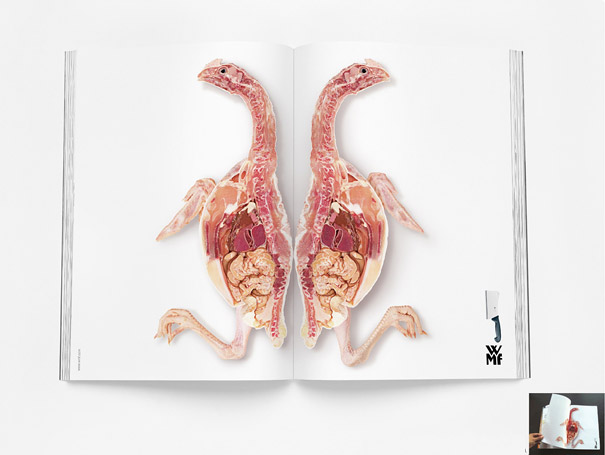 17 Creative Double Page Magazine Ads