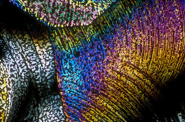 Alcoholic Cocktails Under the Microscope Alcoholic Cocktails Under the Microscope