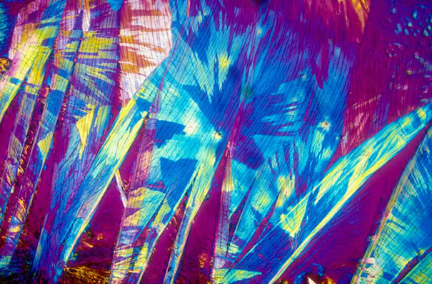 Alcoholic Cocktails Under the Microscope Alcoholic Cocktails Under the Microscope