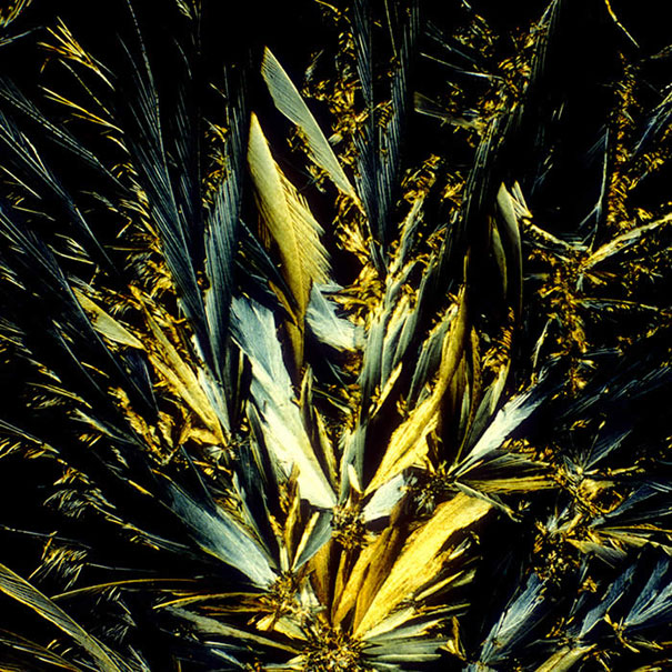 Alcoholic Cocktails Under the Microscope Alcoholic Cocktails Under the Microscope