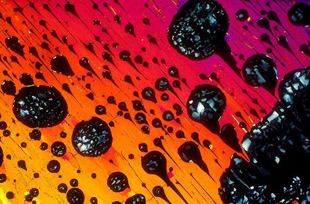 Alcoholic Cocktails Under the Microscope Alcoholic Cocktails Under the Microscope