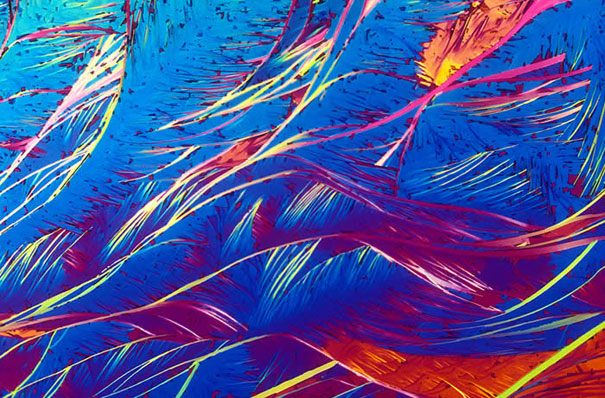 Alcoholic Cocktails Under the Microscope Alcoholic Cocktails Under the Microscope