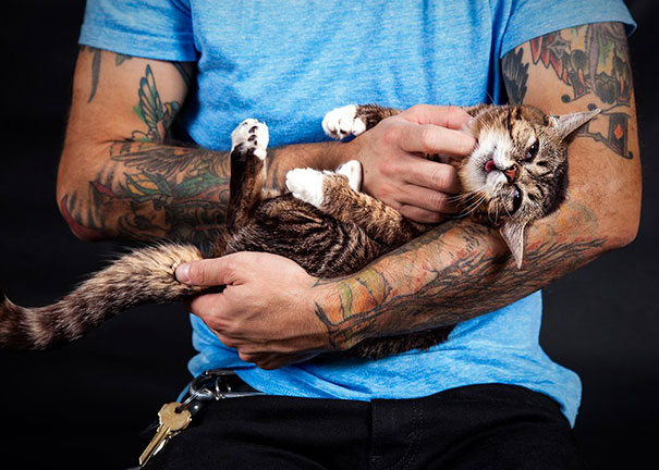 World’s Cutest Dwarf Kitten Becomes Internet Sensation, Hangs Out With Grumpy Cat World’s Cutest Dwarf Kitten Becomes Internet Sensation, Hangs Out With Grumpy Cat