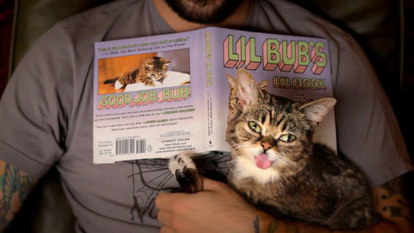 World’s Cutest Dwarf Kitten Becomes Internet Sensation, Hangs Out With Grumpy Cat