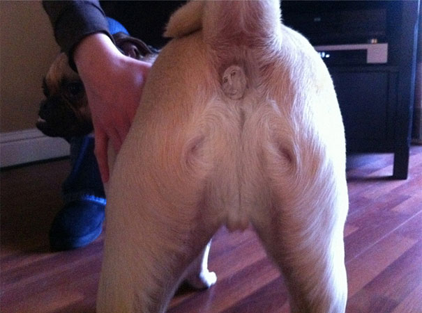 Hilarious Internet Reactions to the Botched Ecce Homo Restoration