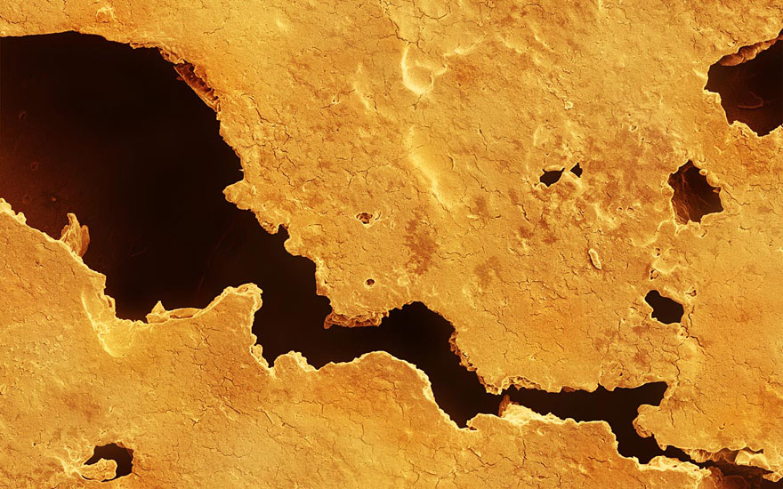 Food Photographed With An Electron Microscope by Caren Alpert