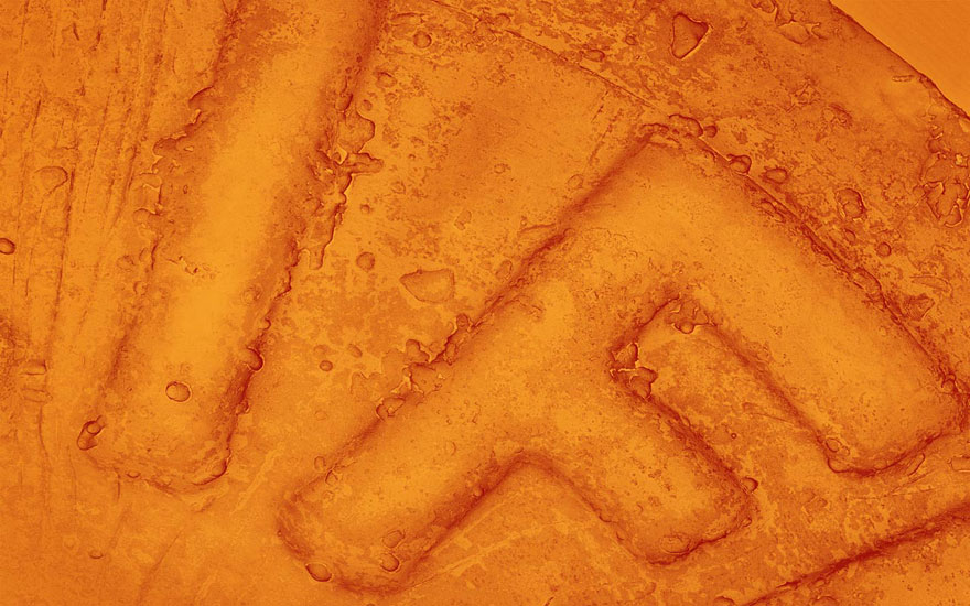 Food Photographed With An Electron Microscope by Caren Alpert