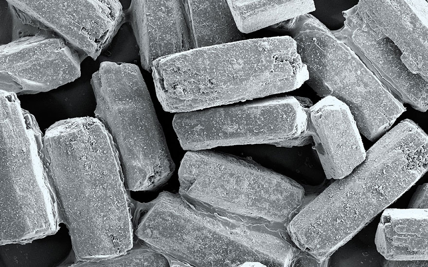 Food Photographed With An Electron Microscope by Caren Alpert Food Photographed With An Electron Microscope by Caren Alpert