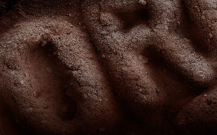 Food Photographed With An Electron Microscope by Caren Alpert Food Photographed With An Electron Microscope by Caren Alpert